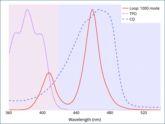  Figure 6 - Loop.jpg 